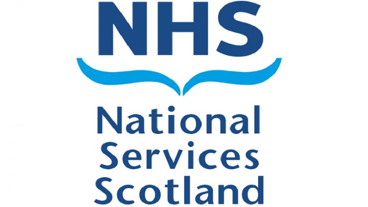 nss logo.jpg